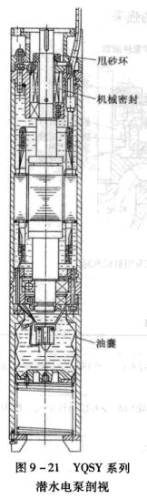 5YQSY系列潛水電泵剖視.jpg